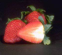 ton fruit